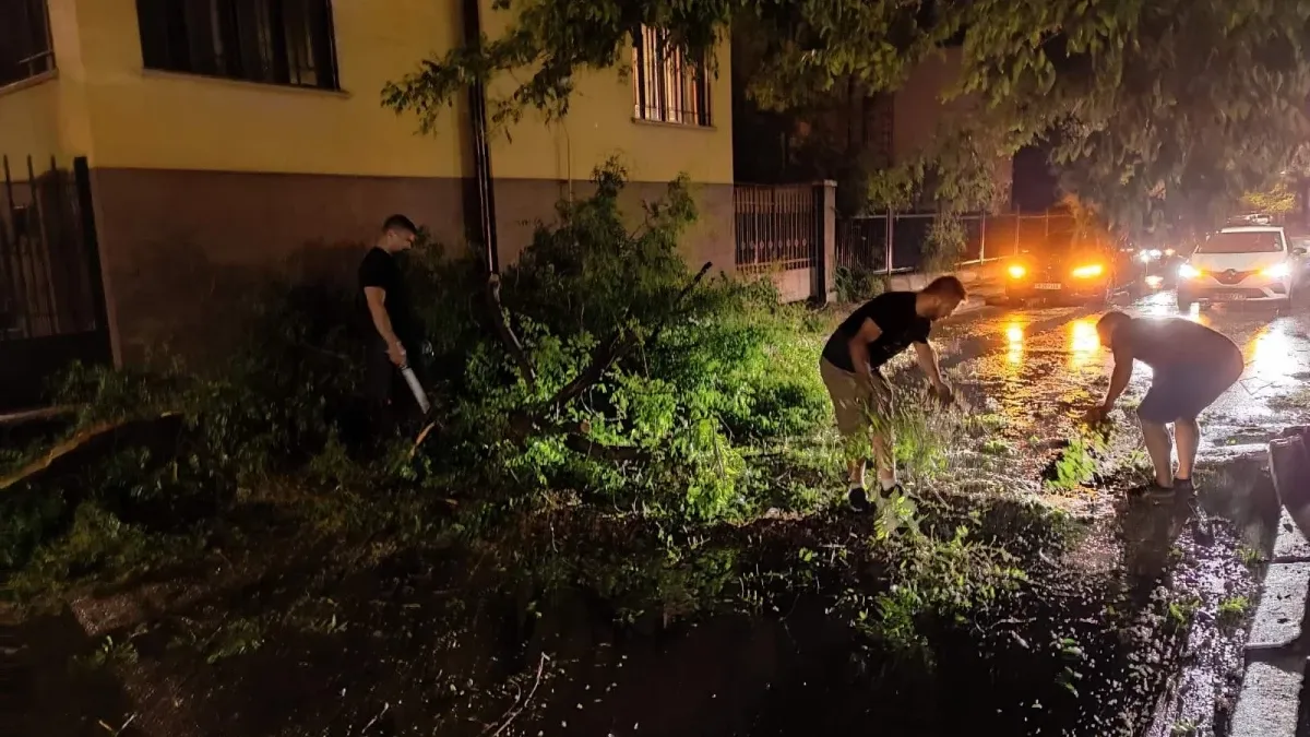 Силна буря наводни улици и събори дървета в Пловдив Обновена