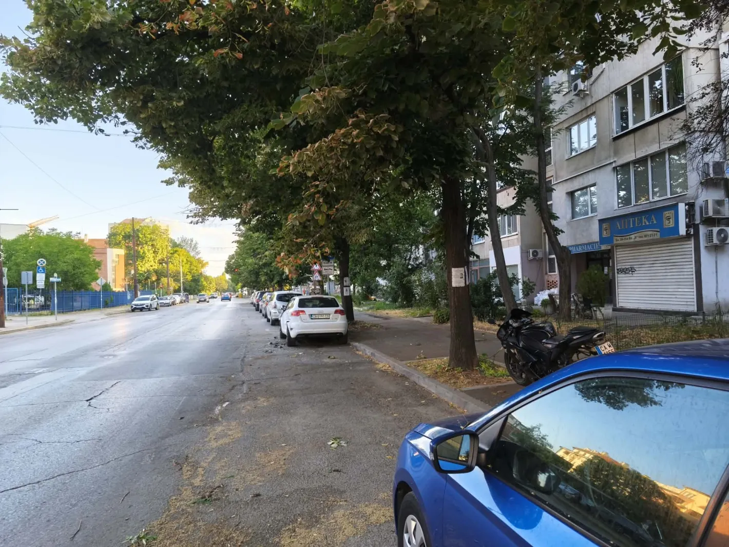 Гръм и трясък изправиха косите на хората посред нощ: Помляха няколко паркирани коли в София Снимки