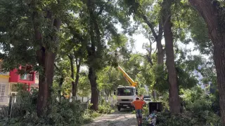 Продължава отстраняването на последиците след снощната буря в Пловдив