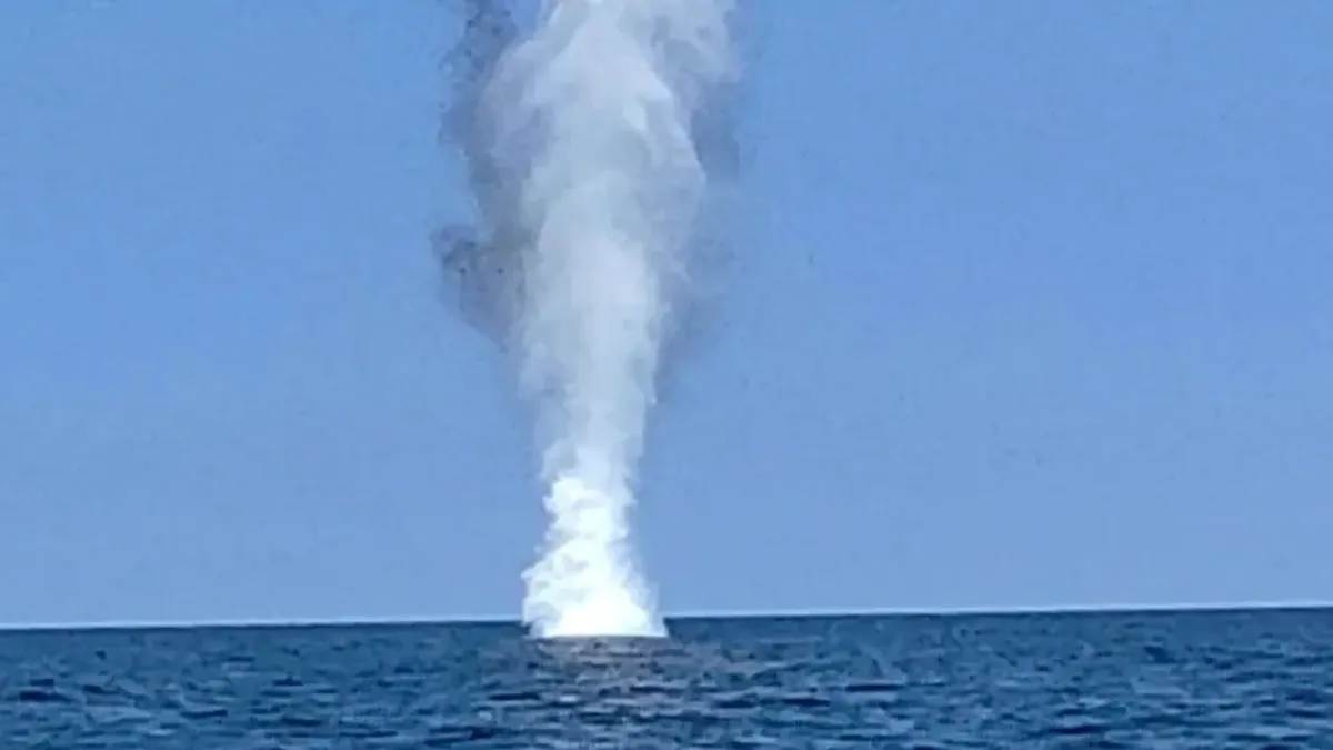Военни водолази унищожиха дрейфащ безпилотен летателен апарат край Ахтопол