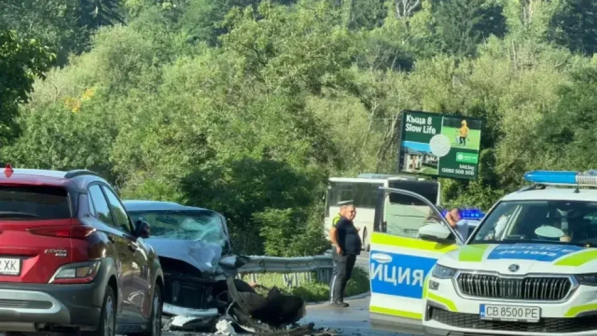 Две деца в болница след челния сблъсък край Владая