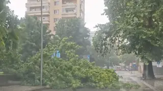 Две жени в болница след урагана в Ямбол