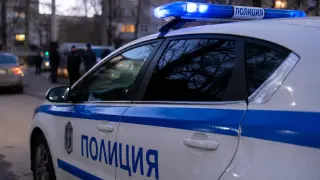 Кученце бе хвърлено от висок етаж в Пловдив и падна до дете