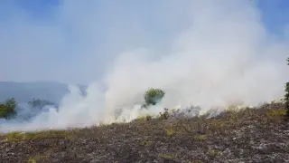 Пожар край петричките села Кърналово и Михнево, вятърът затруднява овладяването му