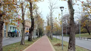 Предлагат бул. "Руски" в Пловдив да бъде преименуван на бул. "Европа"