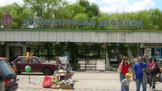 Затварят една от залите в Софийския зоопарк заради ремонт