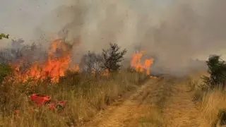 Втори пожар край Монтана: Огнеборци гасят огъня в сухи треви