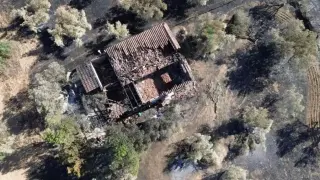 Пожарите в Гърция не спират: Домове изгоряха, нови евакуации край Атина заради силния вятър