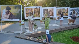 „Погледни ме – осинови ме“: Фотоизложба във Варна дава шанс на кучета от приют да намерят дом