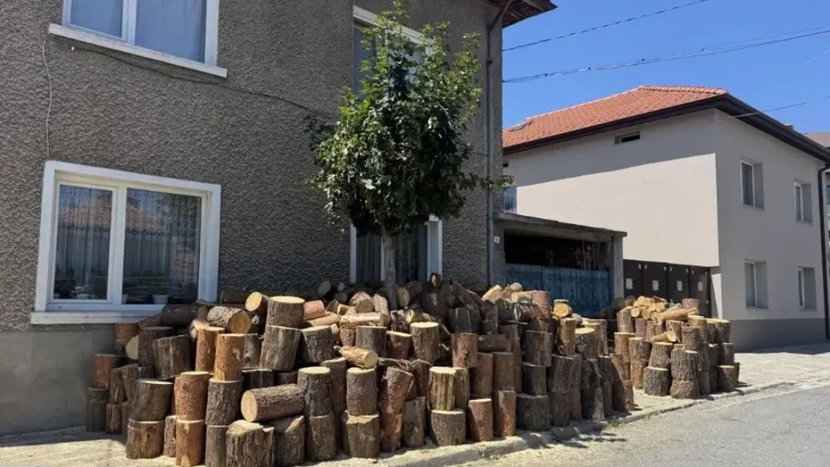 В разгара на лятото: В Добринище вече се запасяват с дърва за огрев