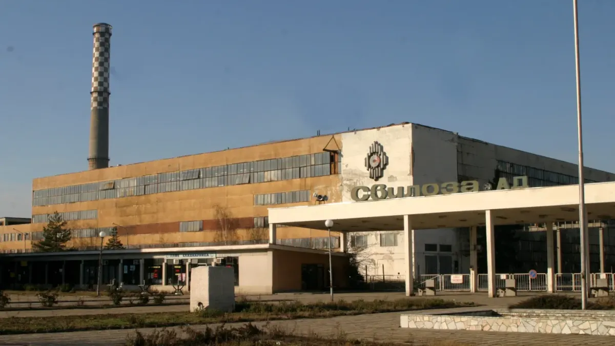 Единственият останал целулозен завод в България загива