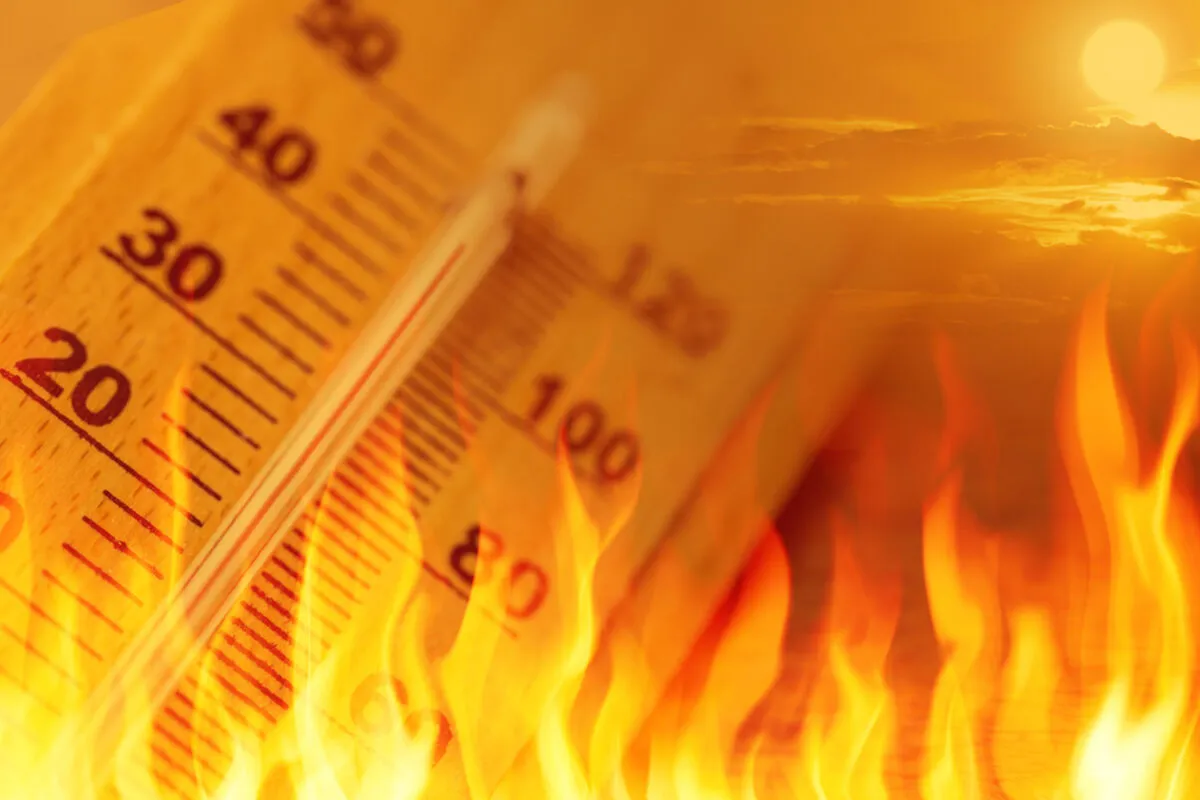 И Сърбия обхваната от силна гореща вълна, температурите достигат 40°C