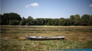 Заради сушата спряха реактор на АЕЦ „Черна вода“ в Румъния и намалиха тока на АЕЦ „Пакш“ в Унгария