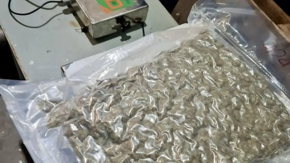 Задържаният с 1 кг дрога в Бургас: „Сгазих лука, карах наркотиците от София“