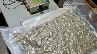 Задържаният с 1 кг дрога в Бургас: „Сгазих лука, карах наркотиците от София“