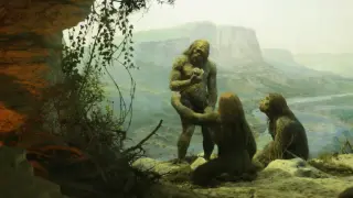 Кост на примат, намерена в Старозагорско, разклати дългогодишна теория за произхода на човека