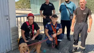 Пожарникари рискуваха живота си за да спасят бедстващо куче край Кърджали