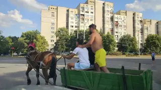 Каруца изпревари колона от автомобили на светофар в столичния квартал Красна поляна