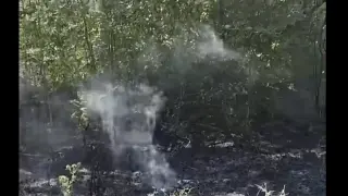 На косъм от бедствие: Туристи и доброволци спасиха от изпепеляване „Петрова нива“