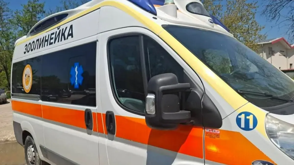 България вече има първата си зоолинейка, ще спасява животни напълно безплатно