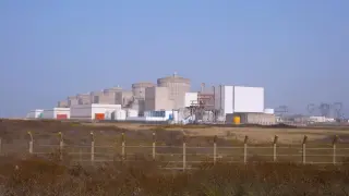 Рояк медузи блокира ядрен реактор във Франция точно в същия ден като миналата година