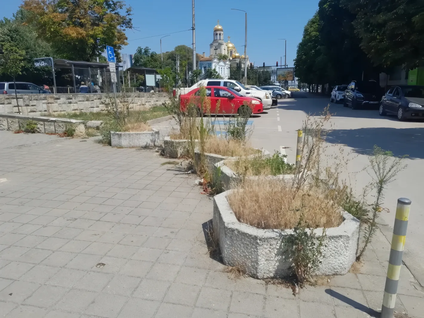 Сухи бурени в кашпоните в центъра на Варна
