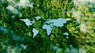 Учени изследват дали животът на Земята не е възникнал повече от веднъж