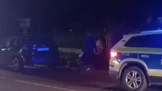 Диво прасе предизвика катастрофа и затвори пътя край Крайморие