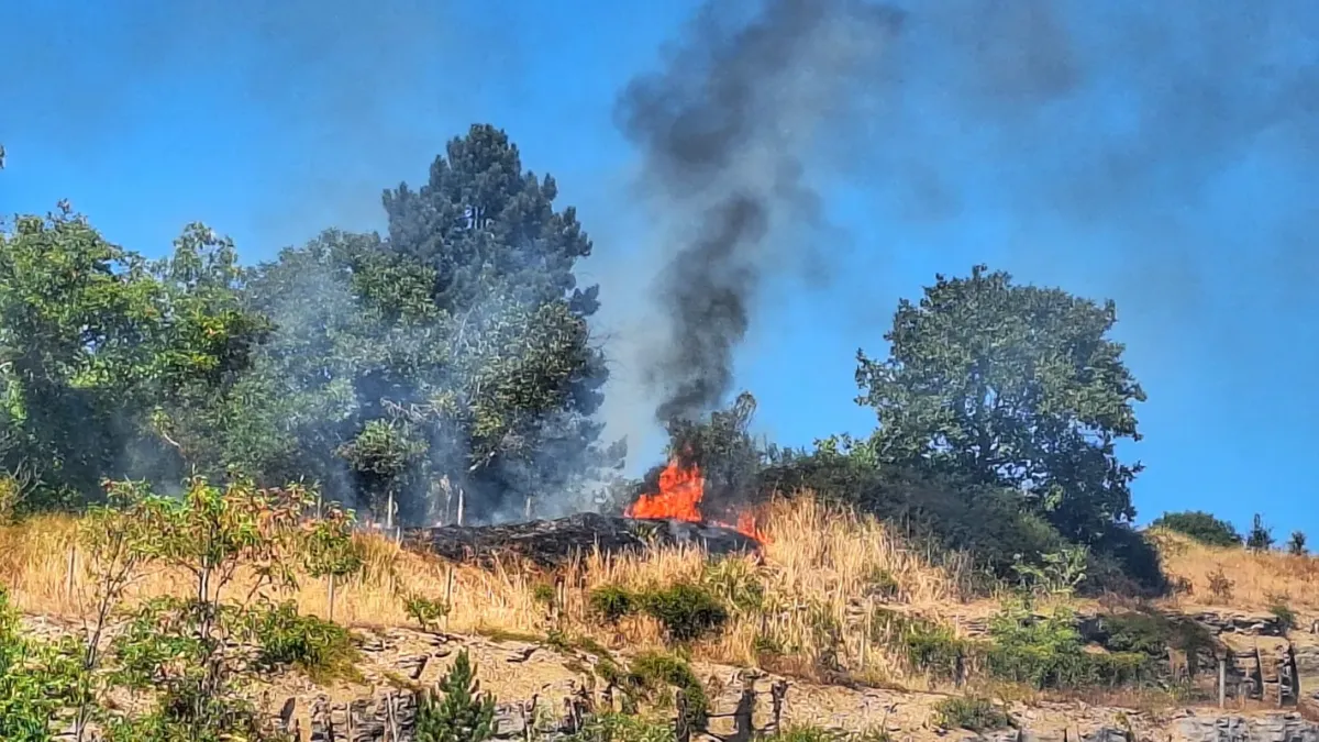 Задимяване в Кюстендилско: Огънят е на 40 км от българската граница