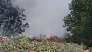 Пожарът край Рупите отново се е разгорял, заплашва Хераклея Синтика