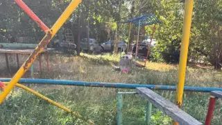 Градско земеделие в София: Неочаквана реколта на неподдържана детска площадка в район „Изгрев“ Снимки