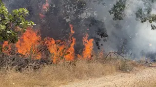 Запалване на листа във вилната зона на Карлово