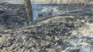 Голям пожар край Гърмен, изгоряха 90 декара гора