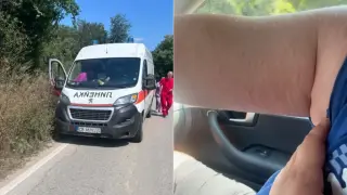 Стършел ужили мъж по пътя Дългопол – Варна, медици реагираха за минути
