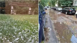 34 сигнала за паднали дървета и 14 за завирявания след стихията в София, има паднали светофари