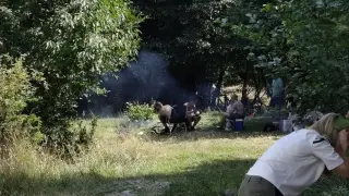 Жена алармира за огньове, барбекюта и оркестър край Витоша, а сигналът ѝ на 112 останал без отговор