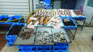 Рибарите ликуват, войната в Украйна води пасажите в наши води