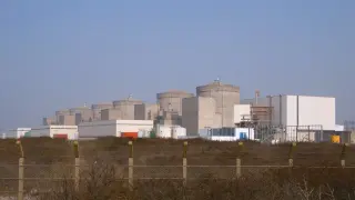 Нашествие от медузи отново блокира най-голямата АЕЦ във Франция