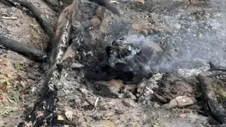 Деца запалиха малък пожар в Борисовата градина и избягаха, минувачи гасиха огъня СНИМКИ