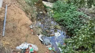 Боклуци плуват на мястото, където хвърлят кръста за Йордановден Снимка