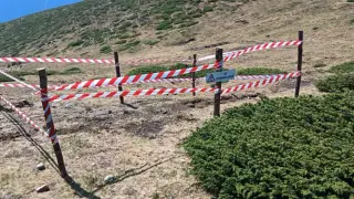 След смъртта на Боев и други защитени лешояди: трима техни събратя полетяха над Балкана