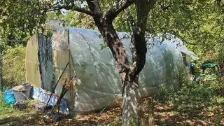 Разкриха парник, превърнат в домашна оранжерия за отглеждане на марихуана в Софийско