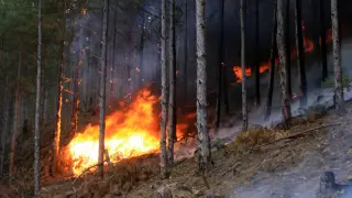 Продължава борбата с пожара в Рила планина
