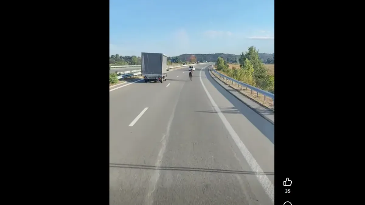 Кон галопира по АМ "Струма"