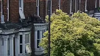Петима подмамиха мъж в апартамент, за да го изтезават, той скочи през прозореца Кадри