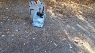 Парк "Славия" или сметище? Столичани възмутени от мизерията, възникна и спор чия е отговорността Снимки