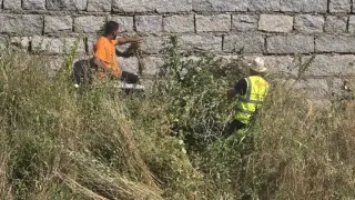 Добро дело в Дупнишко