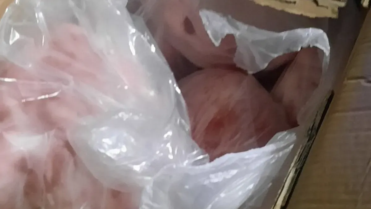 БАБХ откри над 2 тона храна с неизвестен произход в автобуси край Созопол