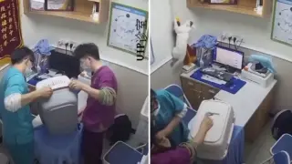 Котарак предизвика хаос във ветеринарен кабинет