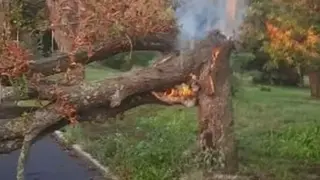 Пречупено дърво пламна в парк „Вапцаров“